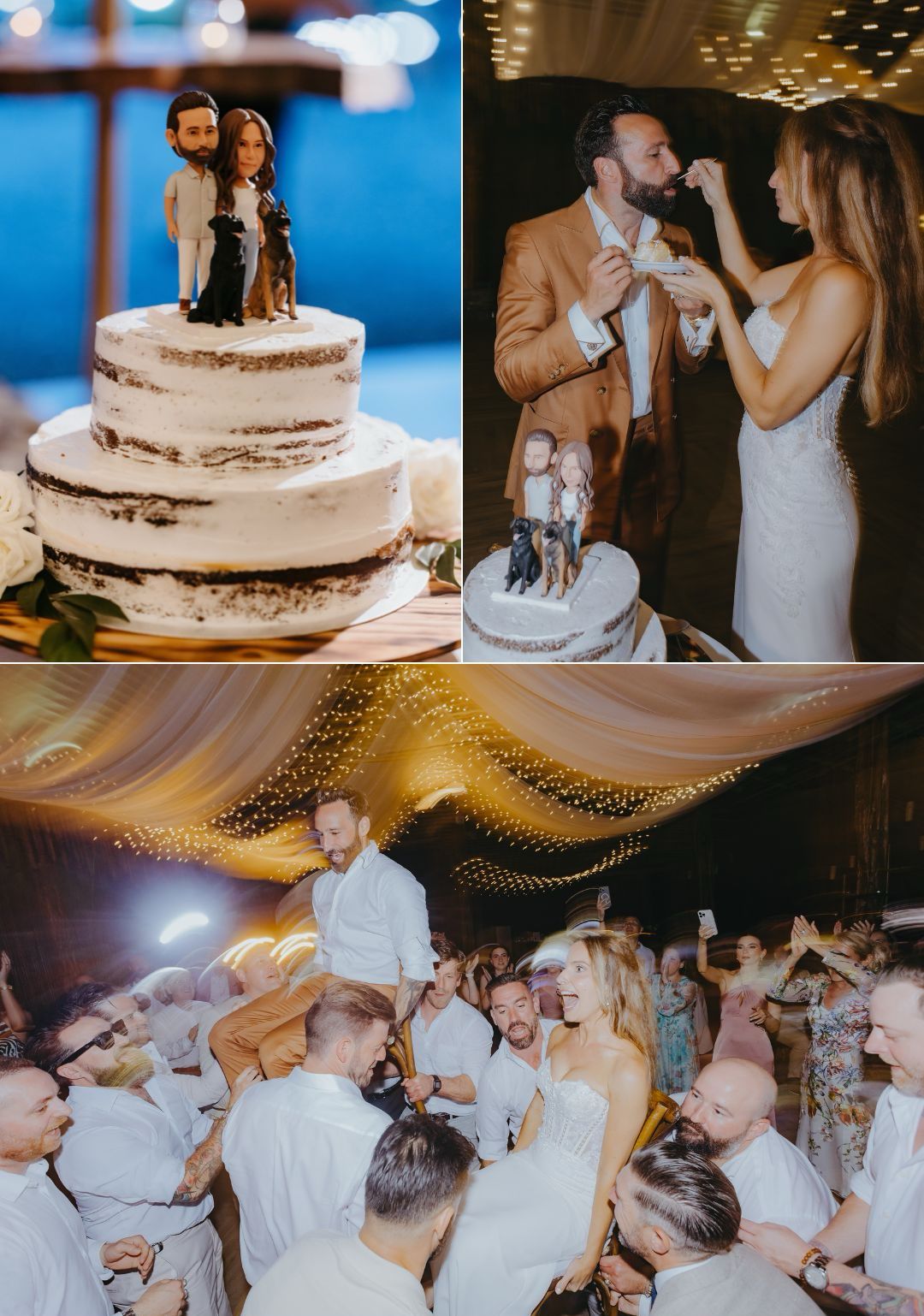 Janaina + Adam - reception highlifghts - cake with shepards